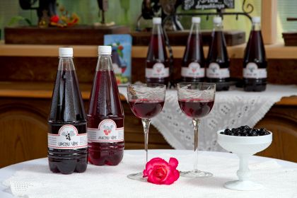 Latgales Plânoðanas reìiona projekts "Tematiskie ciemi: jaunas iespçjas uzòçmçjdarbîbas attîstîbai Latgales un Kotleri, Latgale, Latvija