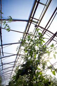 Latgales Pl s re na projekts "Tematiskie ciemi: jaunas iesp s uz jdarb s att i Latgales un Mazie Gavari, Latgale, Latvija