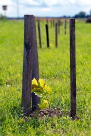 Latgales Pl s re na projekts "Tematiskie ciemi: jaunas iesp s uz jdarb s att i Latgales un Aug tijas p obe e n Ozoli, Latgale, Latvija