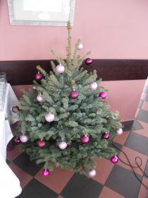 KONICA MINOLTA DIGITAL CAMERA