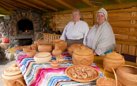 Latgales Pl s re na projekts "Tematiskie ciemi: jaunas iesp s uz jdarb s att i Latgales un Vi Latgale, Latvija