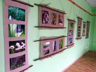 SAMSUNG CAMERA PICTURES