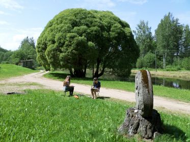 SAMSUNG CAMERA PICTURES